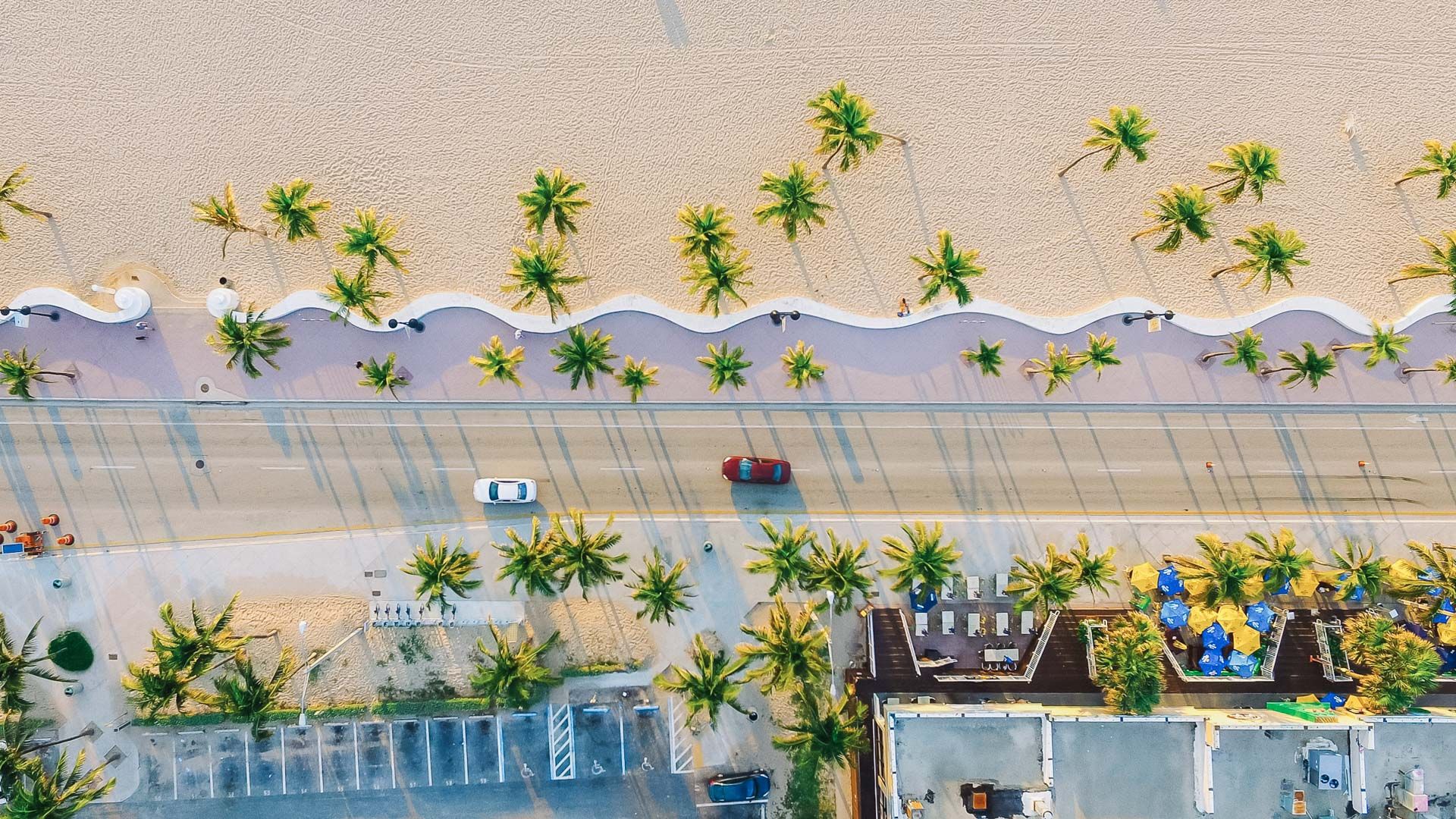 an aerial view of the beachfront promenade and palm trees